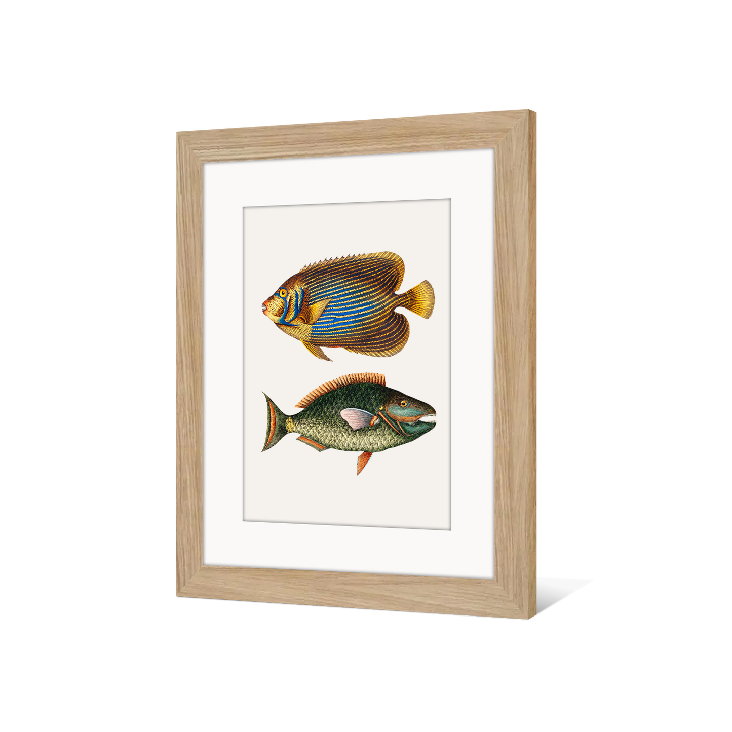 AQUARIUM 2 Cadre Américain et Papier Supérieur