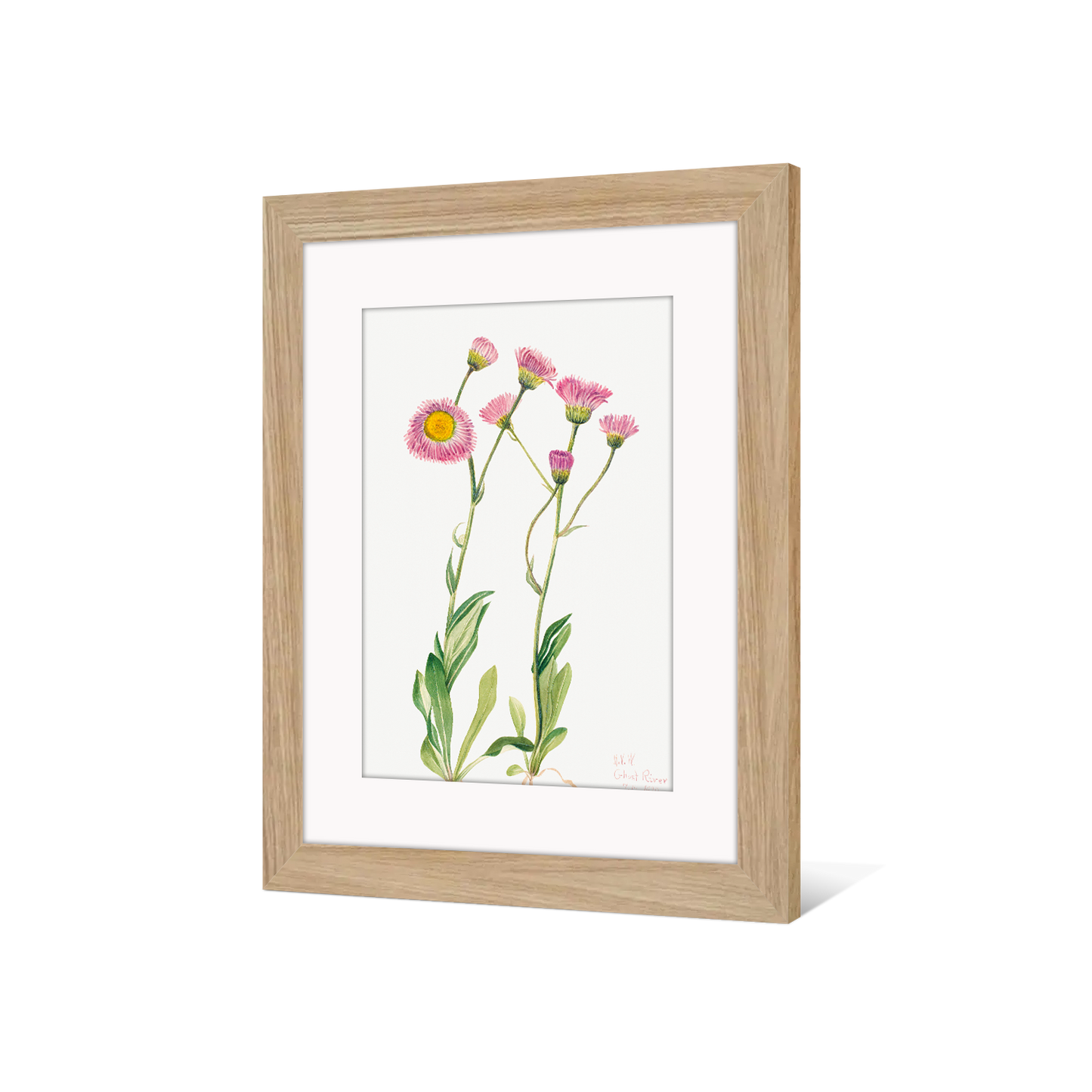 CADRE-FLORAL1