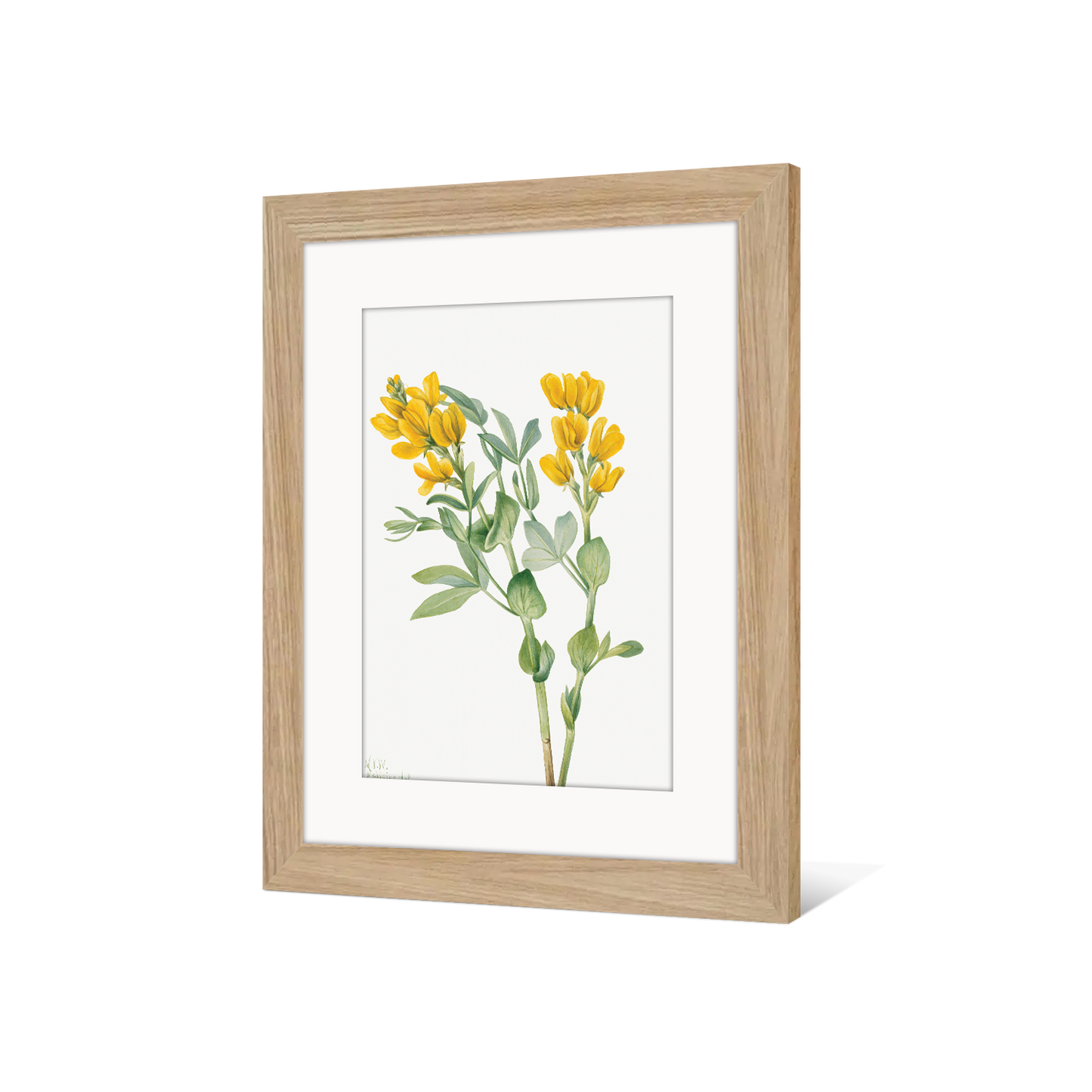 CADRE-FLORAL2