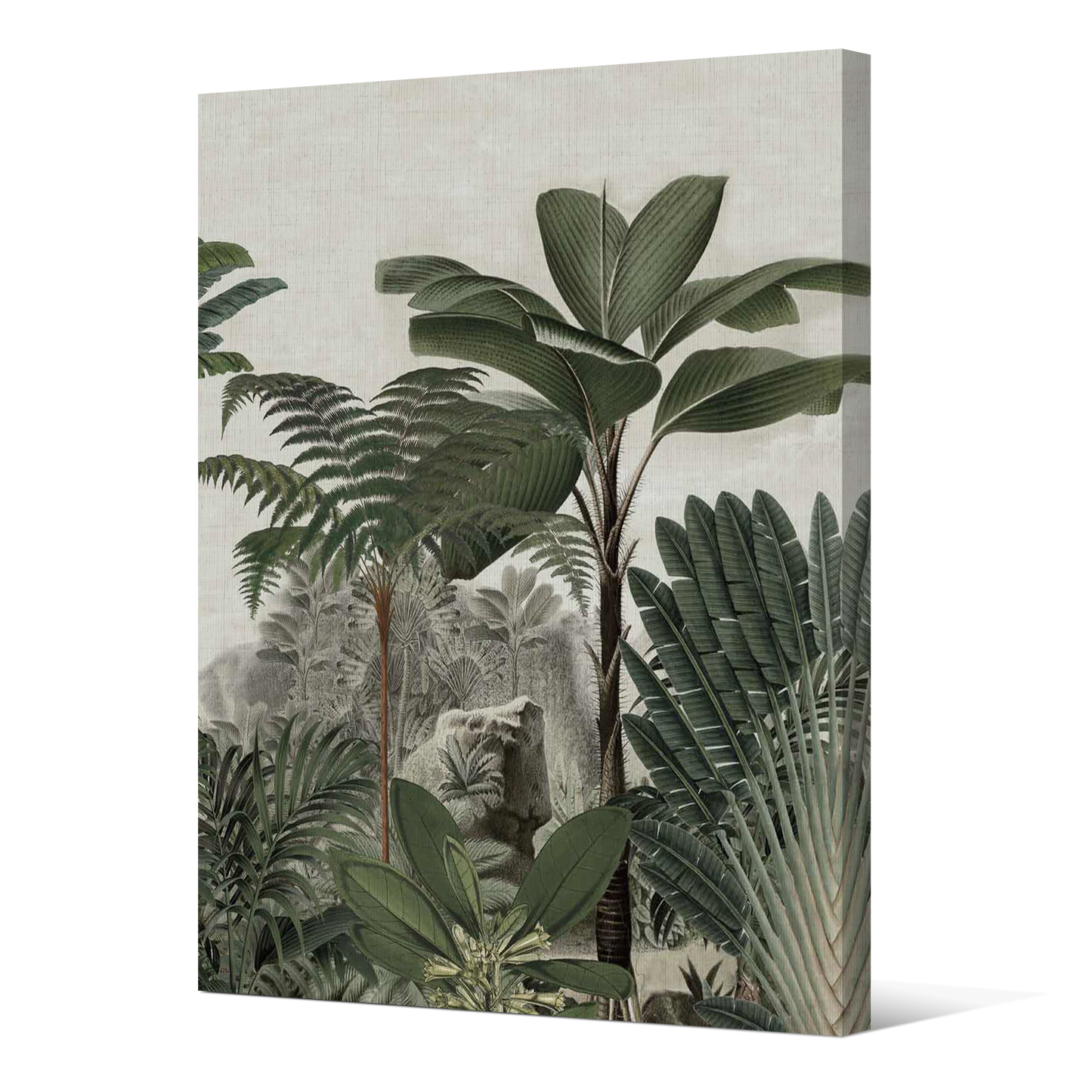 Toile sur Châssis | Collection Amazonia Jungle | Aube Épanouie