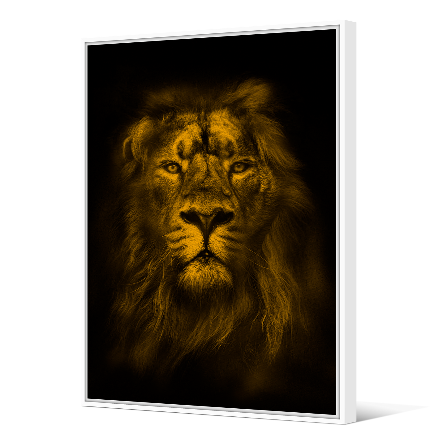 Toile sur Châssis | Collection Jungle Savane | Lion Fière
